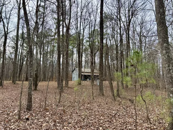 Belvidere, TN 37306,84 Granny Pratt Ln