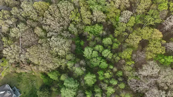 Lenoir City, TN 37772,165 Brentwood Place