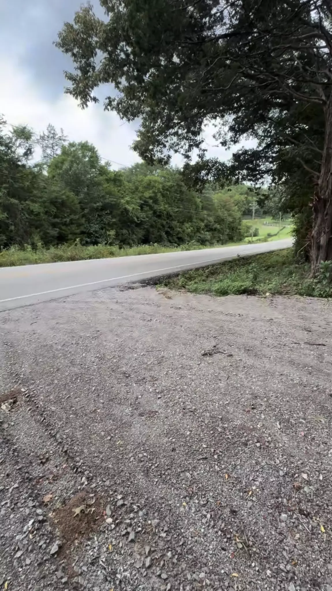 College Grove, TN 37046,6468 Arno College Grove Rd