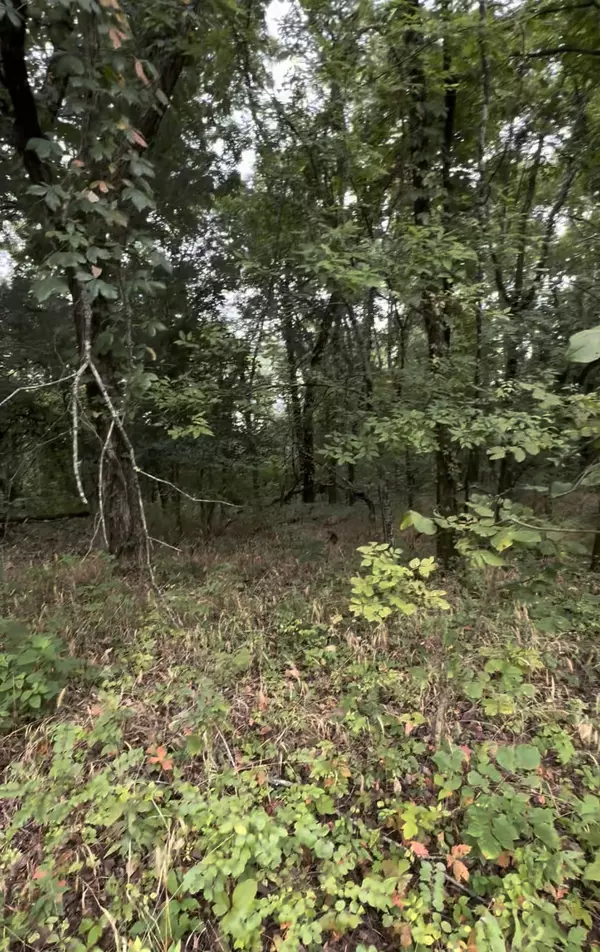 College Grove, TN 37046,6468 Arno College Grove Rd