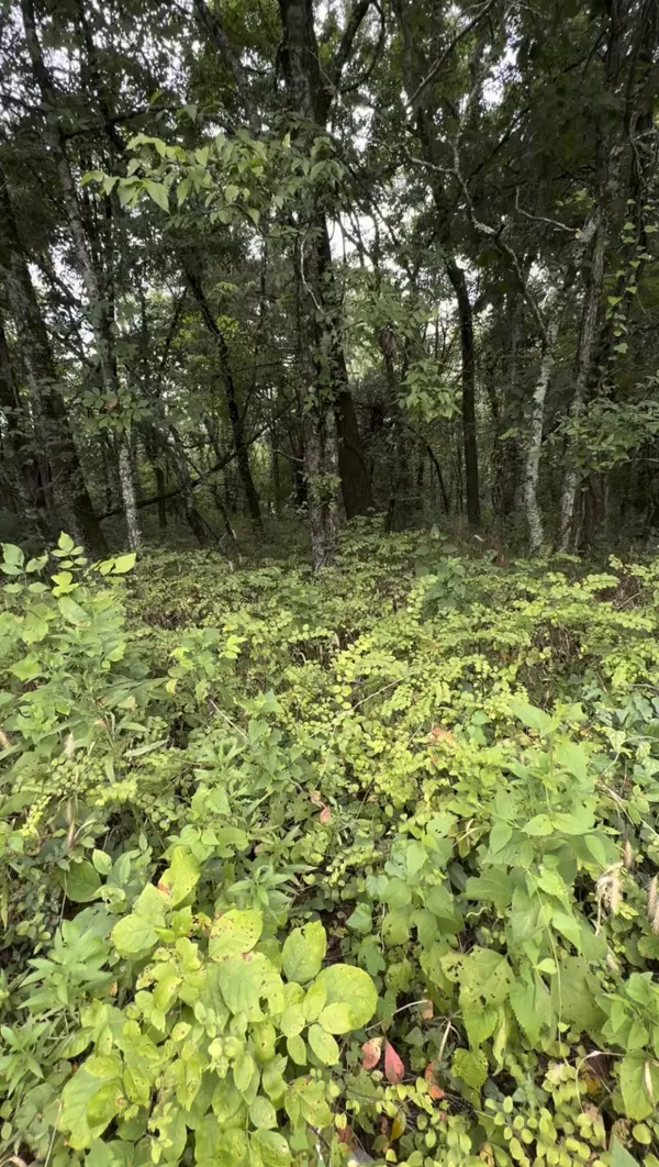 College Grove, TN 37046,6468 Arno College Grove Rd