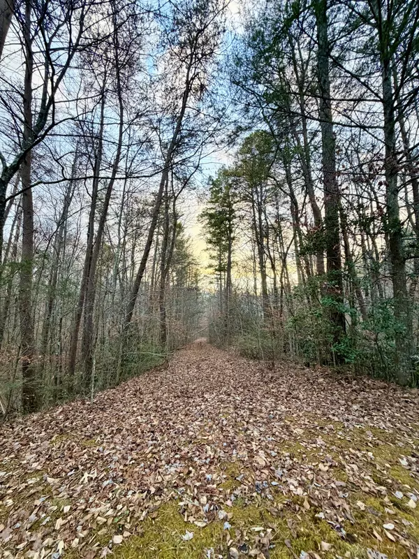 Sevierville, TN 37876,1 Wildwood Way