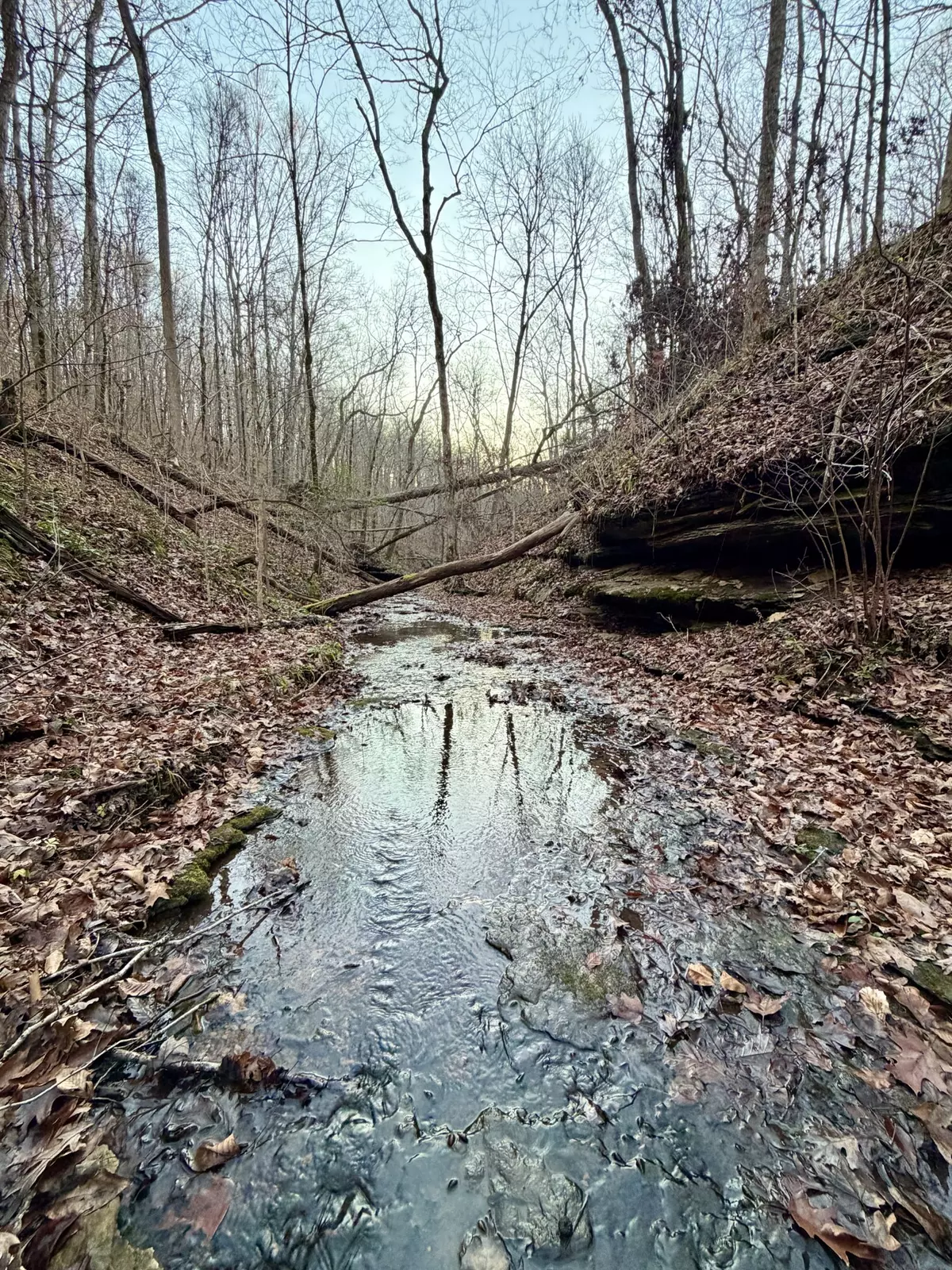 Ashland City, TN 37015,1 Sunnyside Dr