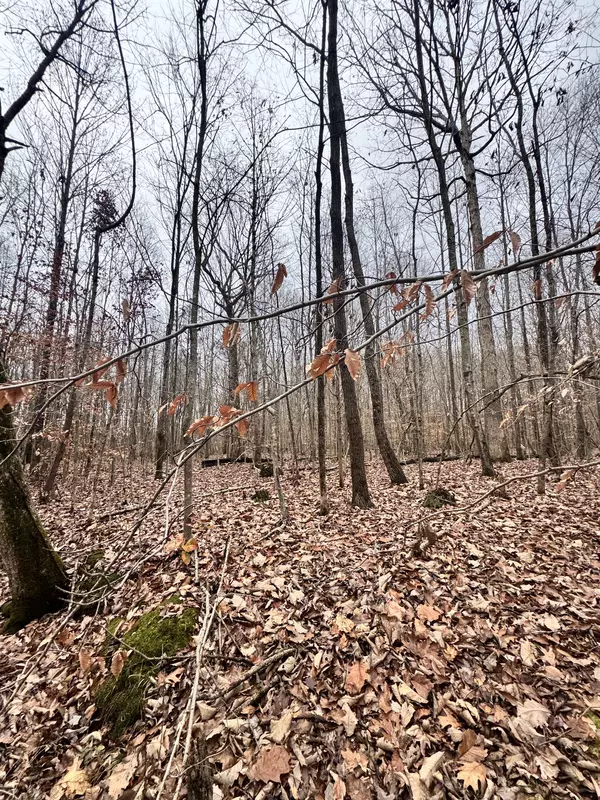 Bethpage, TN 37022,0 Mt Vernon Rd