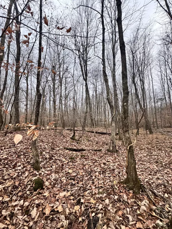 0 Mt Vernon Rd, Bethpage, TN 37022