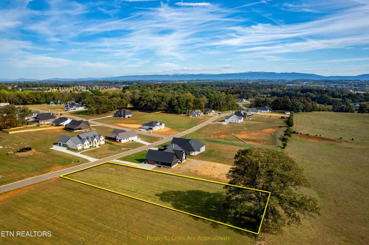 Greenback, TN 37742,1017 Herbert Drive