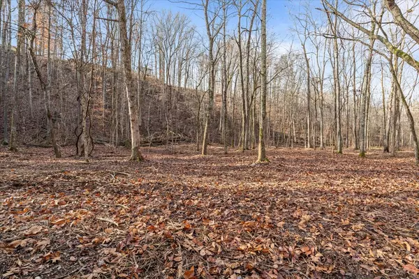 Waverly, TN 37185,0 Rustling Oaks Dr