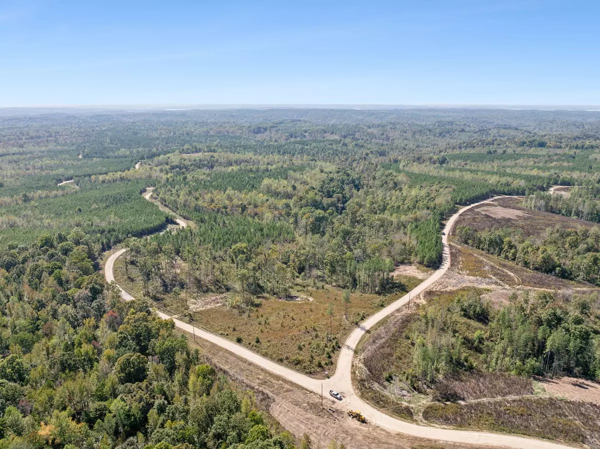 Dover, TN 37058,0 Cox Hollow