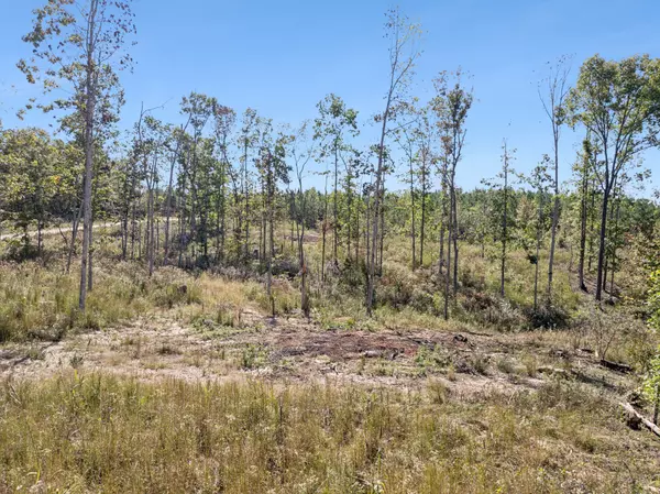 Dover, TN 37058,0 Cox Hollow