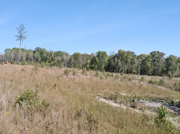 Dover, TN 37058,0 Cox Hollow