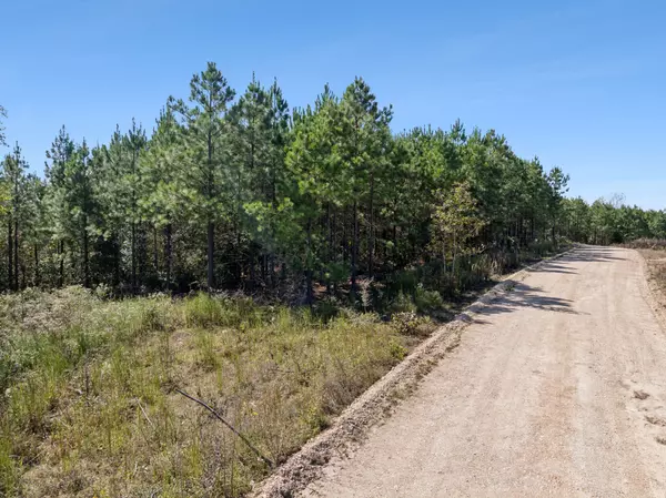 Dover, TN 37058,0 Cox Hollow