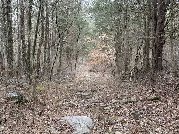 Gainesboro, TN 38562,0 Cook Ln