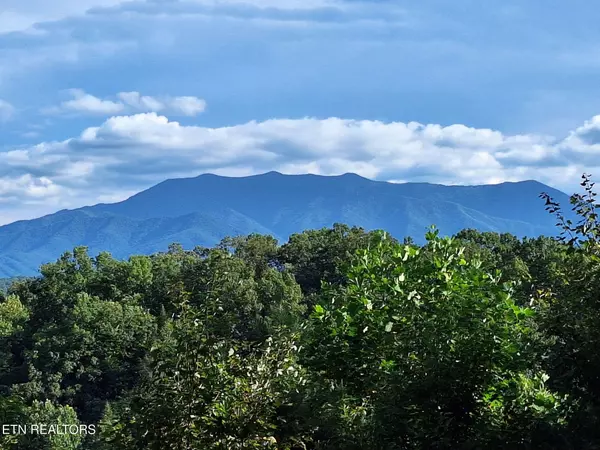 Sevierville, TN 37876,1428 Am King Way