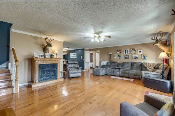 Cornersville, TN 37047,353 Major Rd