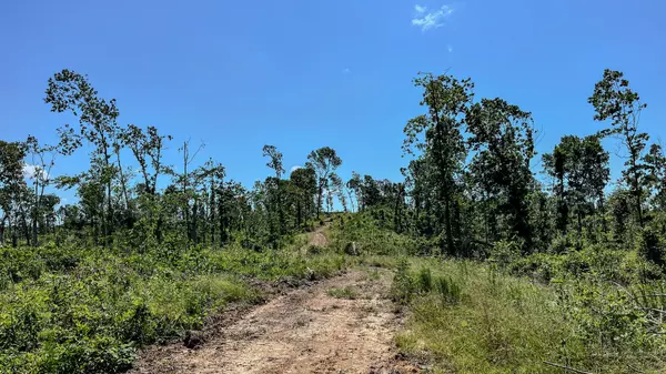 Waverly, TN 37185,0 W Trace Creek Rd