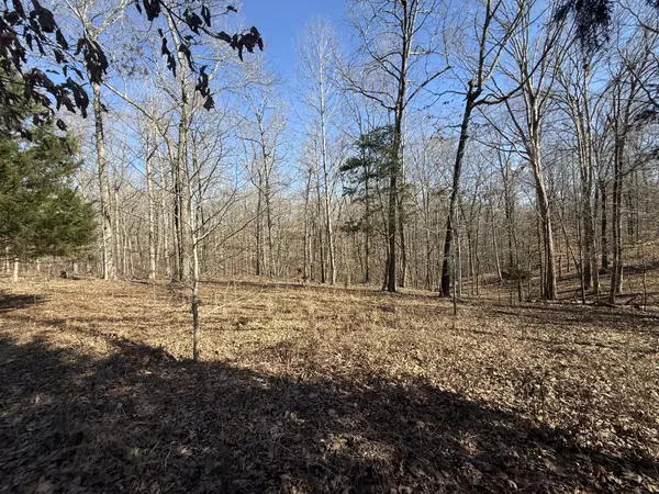 Indian Mound, TN 37079,55 Backwoods Estates