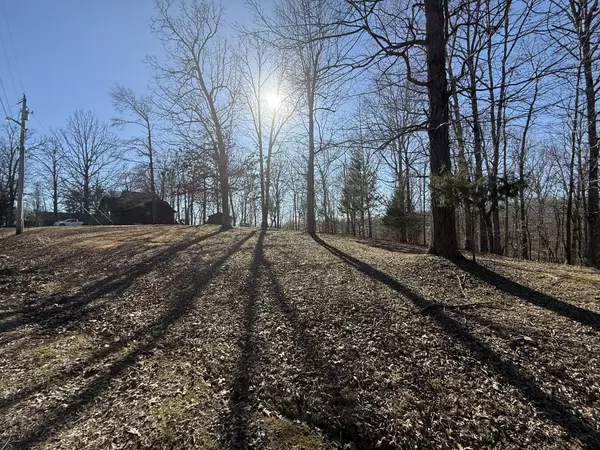 Indian Mound, TN 37079,40 Backwoods Estates