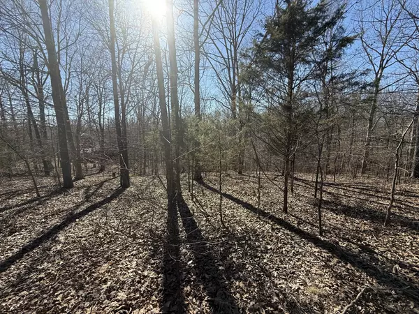 Indian Mound, TN 37079,28 Backwoods Estates