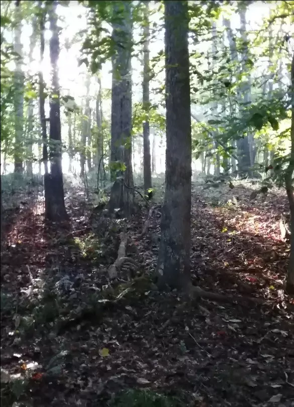 Joelton, TN 37080,2812 Union Hill Rd