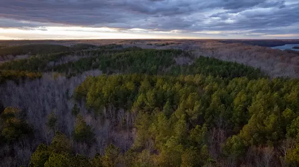 Holladay, TN 38341,0 Birdsong Rd