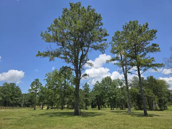 Spring Hill, TN 37174,4869 Kedron Rd