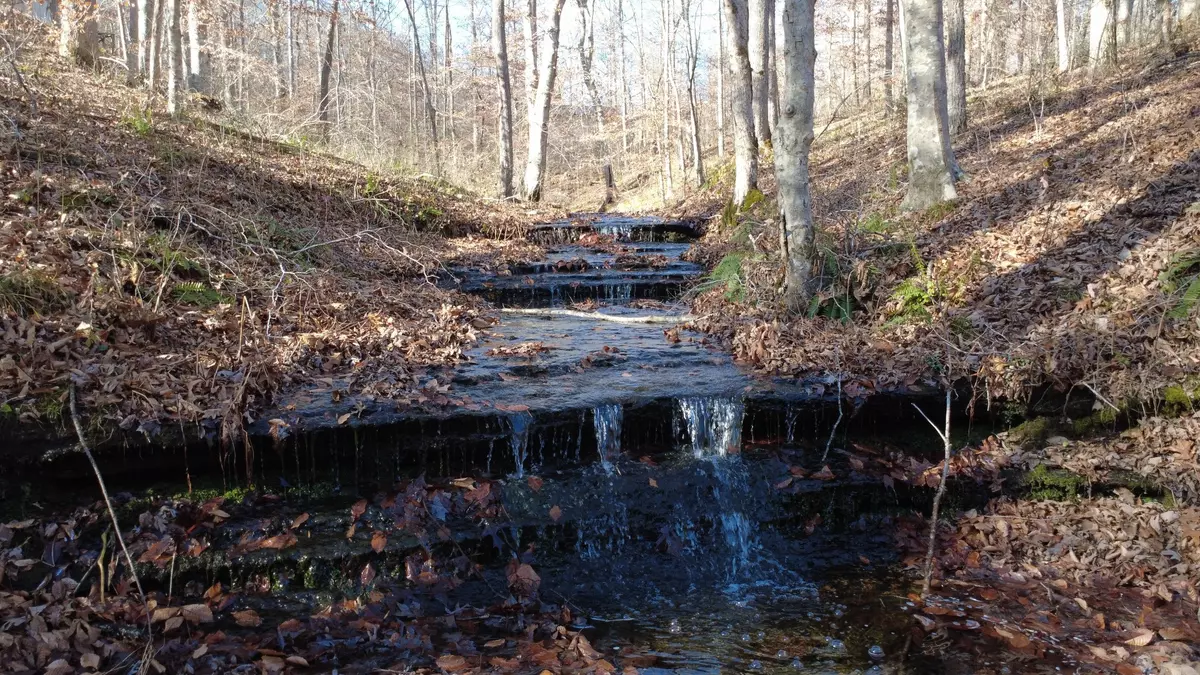 Waynesboro, TN 38485,314 Burns Hollow Rd