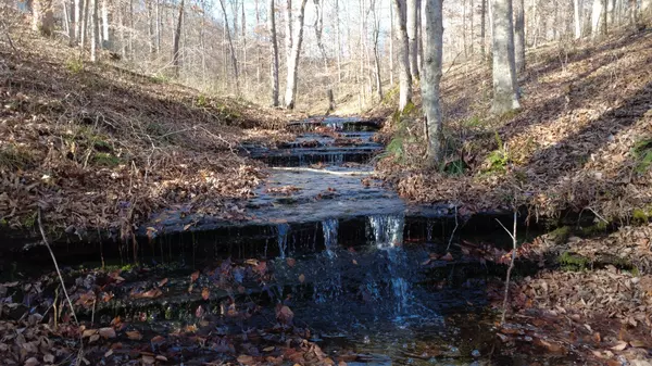 314 Burns Hollow Rd, Waynesboro, TN 38485