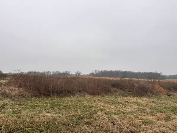 Ethridge, TN 38456,0 Rushing road