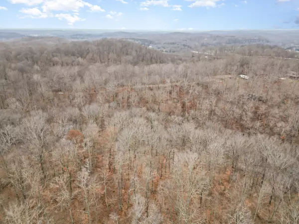 Pegram, TN 37143,0 Anderson Rd