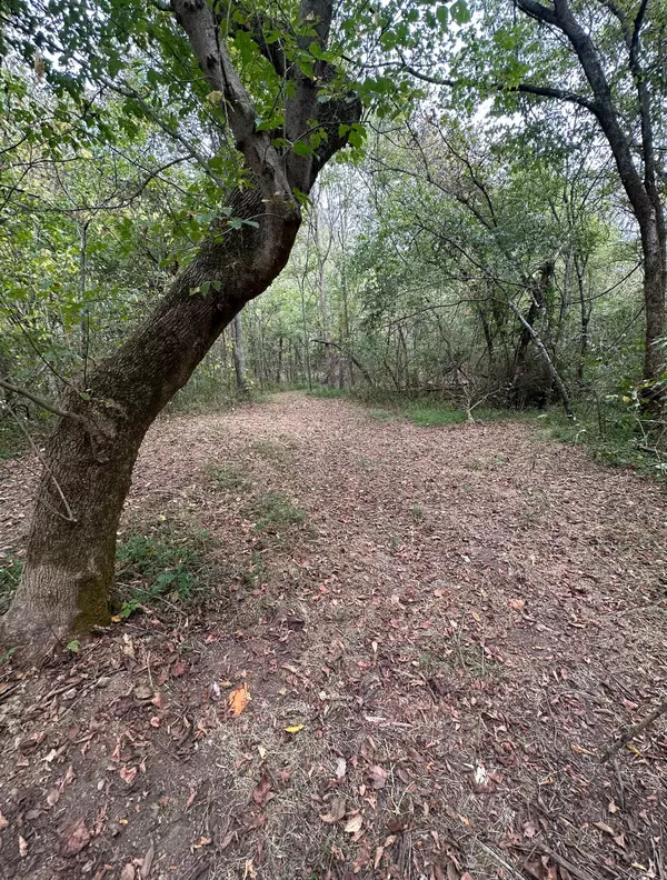 Lafayette, TN 37083,2 Cedar Bluff Road