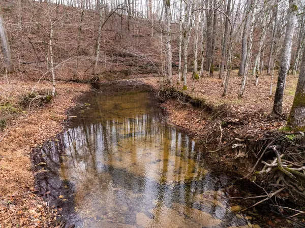 Cumberland Furnace, TN 37051,0 Shelter Branch Road