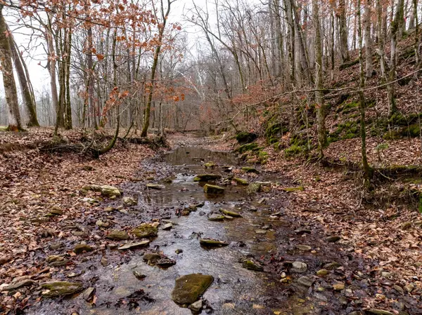 Cumberland Furnace, TN 37051,0 Shelter Branch Road