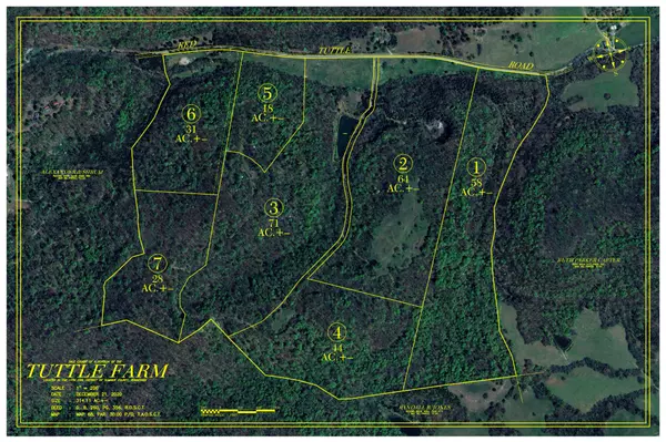 0 Red Tuttle Road, Bethpage, TN 37022