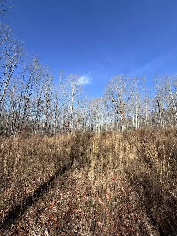 Sewanee, TN 37375,0 Deer Wood Drive