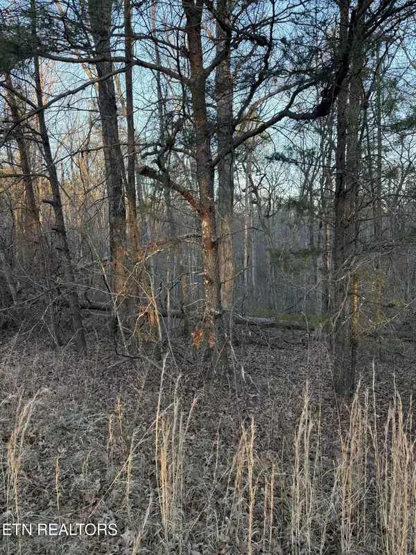 Monterey, TN 38574,5 W Laurel Way