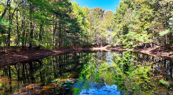 Holladay, TN 38341,0 Highway Coxburg Rd S