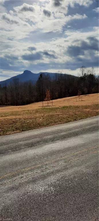 Pilot Mountain, NC 27041,0 Golf Course RD