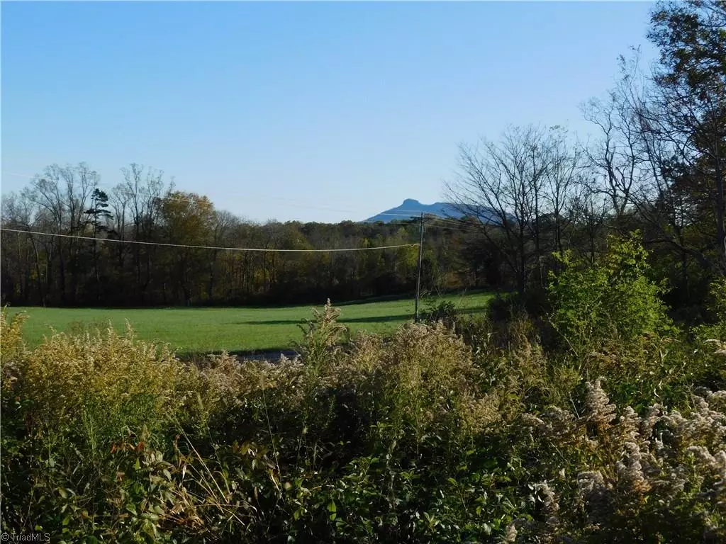 Pilot Mountain, NC 27041,Lot #11 Pheasant TRL