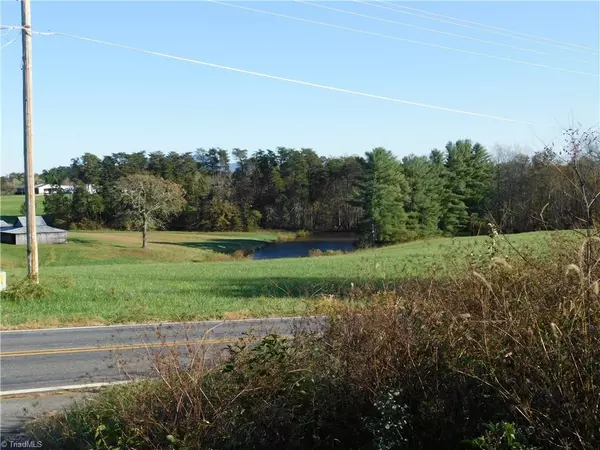 Pilot Mountain, NC 27041,Lot #11 Pheasant TRL