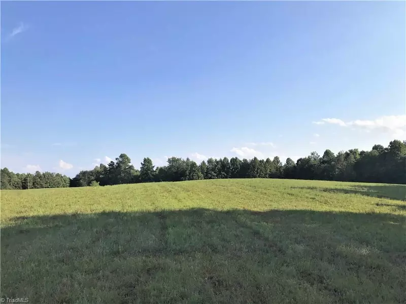 19.43 Acres Park RD, Mayodan, NC 27027