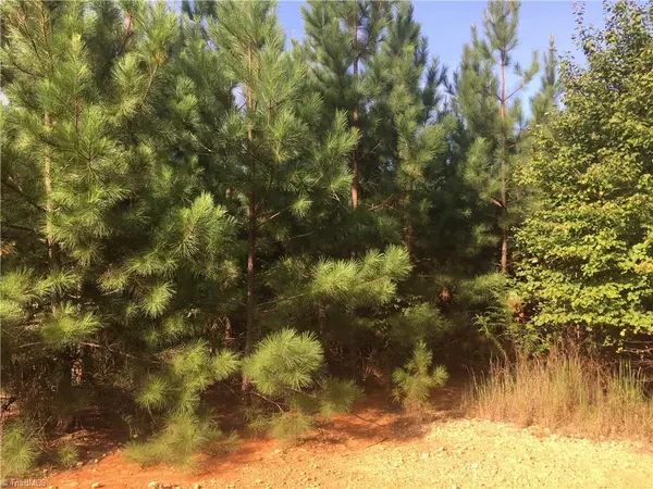 Ramseur, NC 27298,0 Ramseur Julian RD