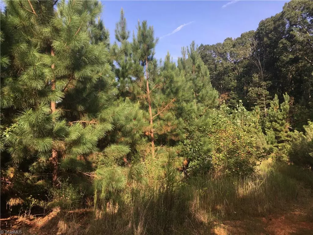 Ramseur, NC 27298,0 Ramseur Julian RD