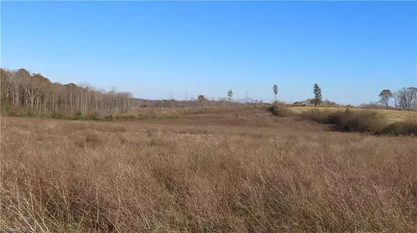 Hamptonville, NC 27020,00 US Highway 21