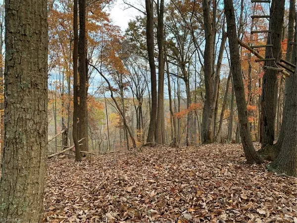 Stoneville, NC 27048,0 Pine Knoll DR