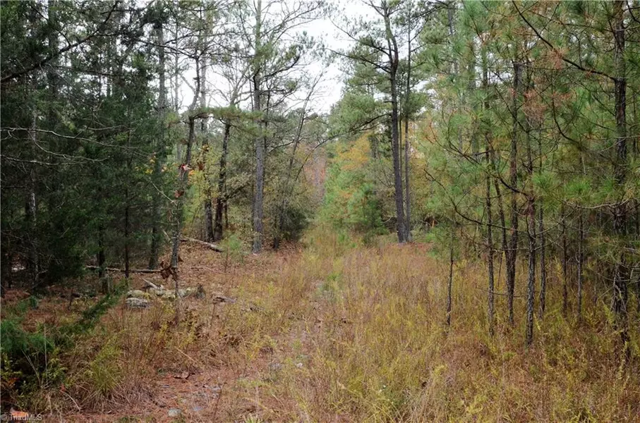 Lot 2 Collins Mountain RD, Chapel Hill, NC 27516