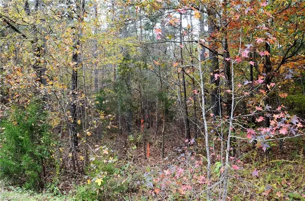 Chapel Hill, NC 27516,Lot 2 Collins Mountain RD