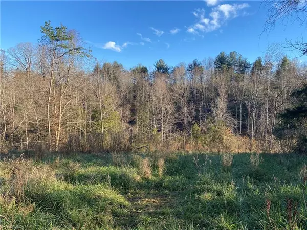 Millers Creek, NC 28651,958 Friendly Grove Church RD