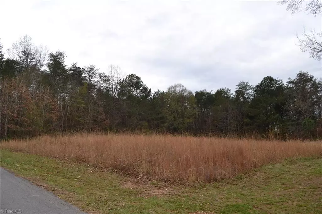 Stoneville, NC 27048,469 Lakeside DR