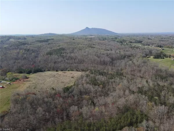 Pilot Mountain, NC 27041,xx Carson RD