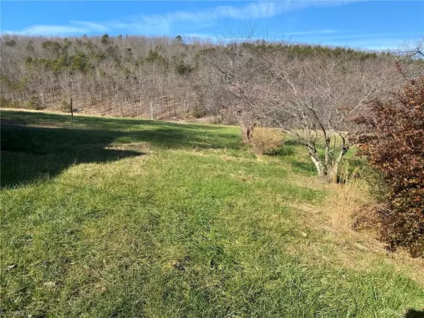 Westfield, NC 27053,1080 Fowler Farm RD #Tract #1